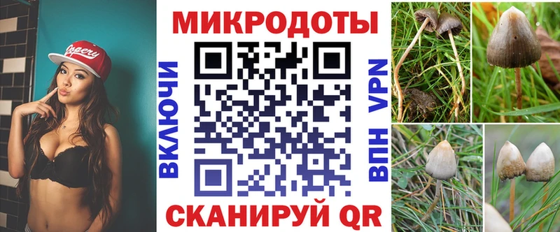 Псилоцибиновые грибы Psilocybe  hydra зеркало  Абакан 